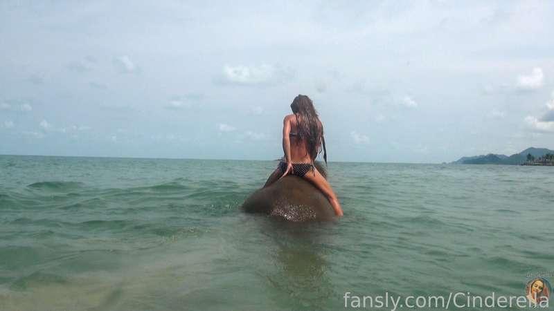 cinderellastory image #29