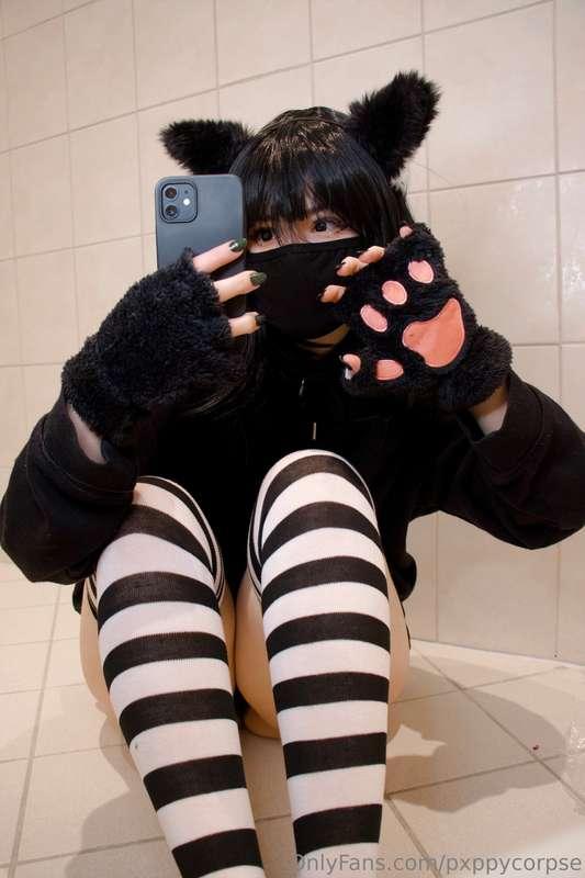 pxppycorpse image #7
