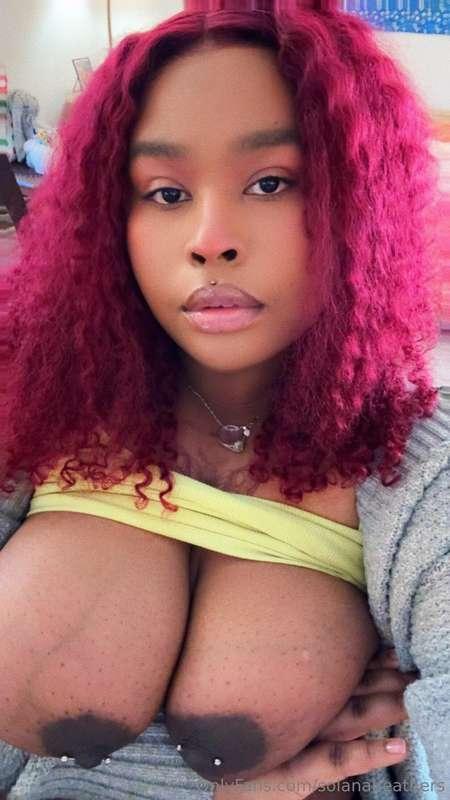 solanadondada image #0