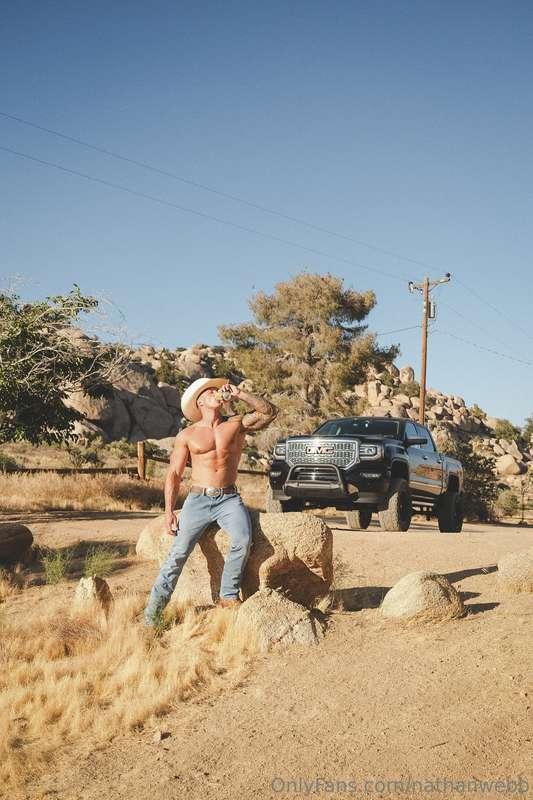 Save a horse, ride a … ?