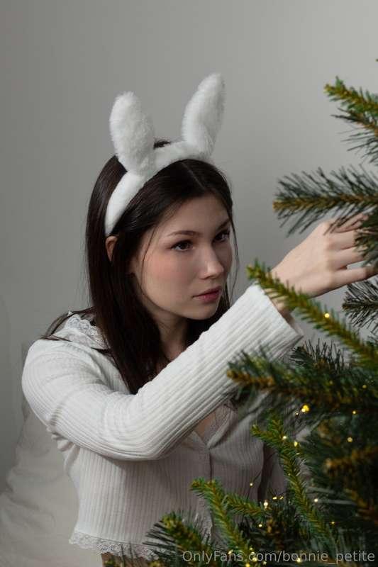 🐰
