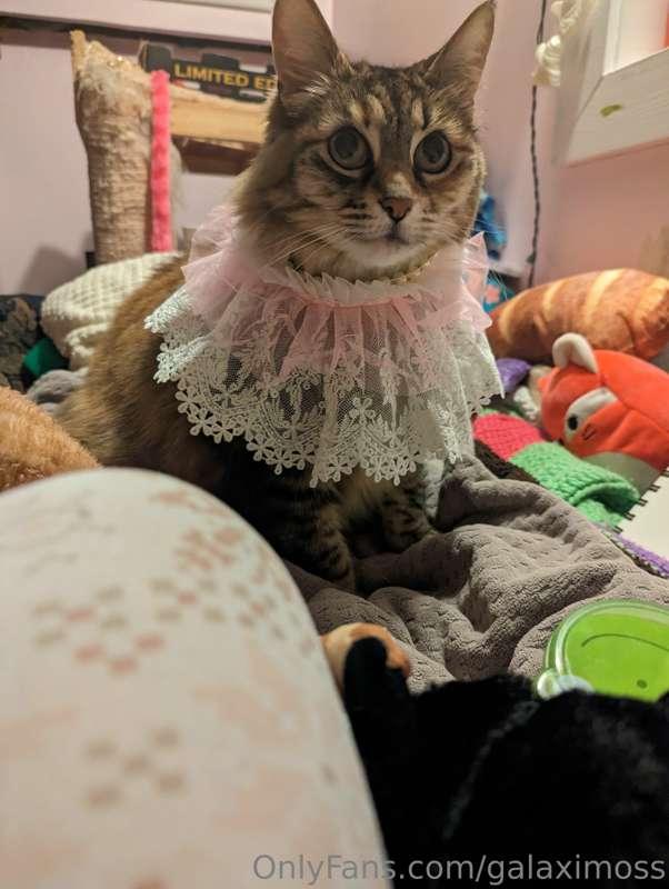 Angel got a new lace and wanted to show you all!!