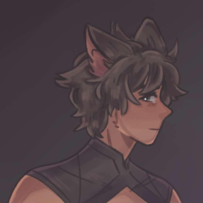 [SPOP] shadows