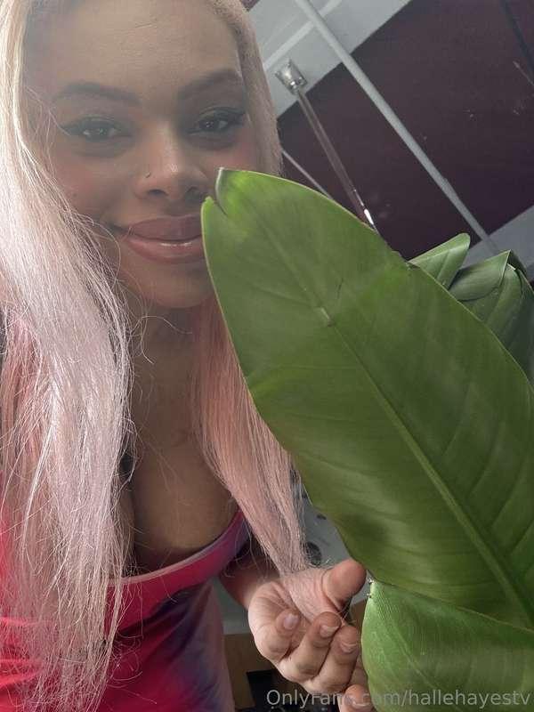 Guess what's hiding these leaves? 🌿🌿💁🏻‍♀️