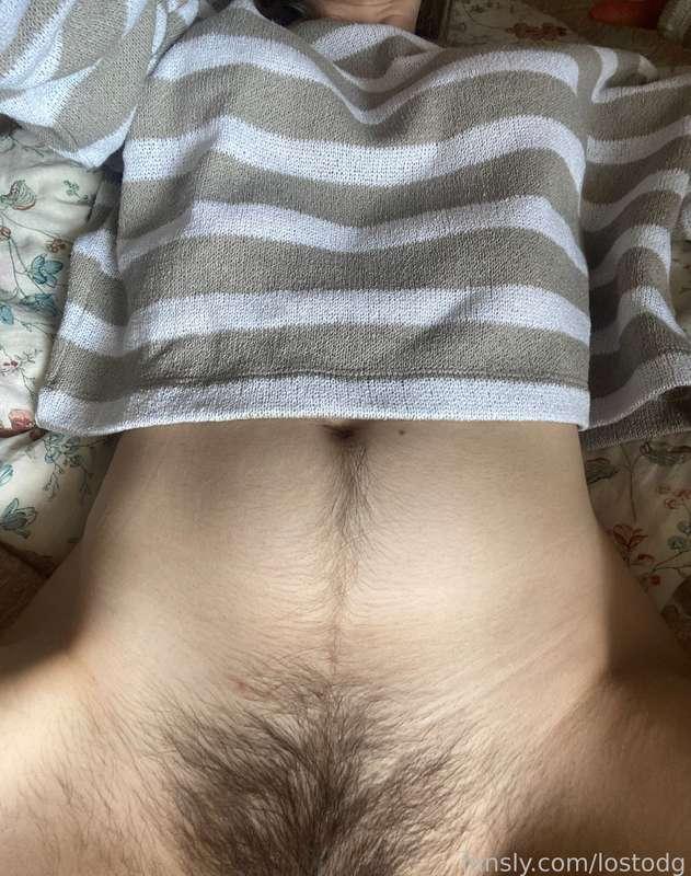 lostodg image #1