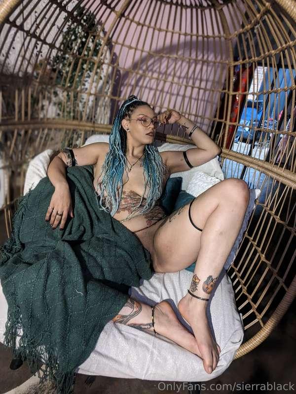sierrablack image #12