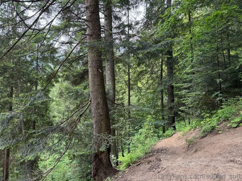 sulted_sult image #2