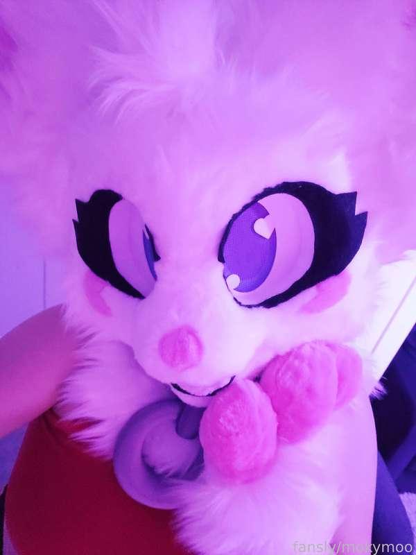 Get ready for more fursuit pics ;3

---

#arawr | #vtuber | #furry | #lewd | #fyp | #tits | #hugetits | #ass | #bigass | #bbw | #fennec | #free | #subs | #anime | #nsfw | #pussy | #anal | #solo | #goodgirl | #female | #egirl | #cosplay | #costume | #moaning | #fantasy | #feet | #puppygirl | #pet | #petplay | #furryporn | #fursuit | #yiff | #murrsuit | #doggy