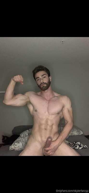 shredtacular image #0