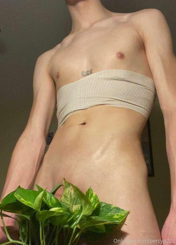 you guys like my pothos?