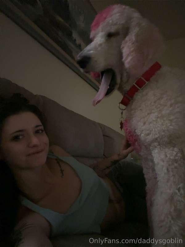 Good morning (feat. My skinwalker dog, Zora) 🐩☀️