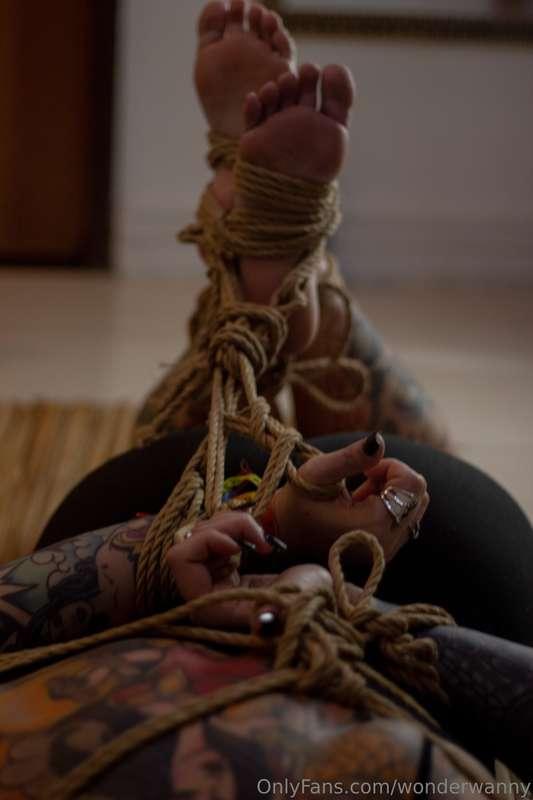 wonderwanny image #30