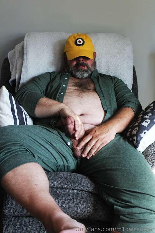 m1dwestbear main image
