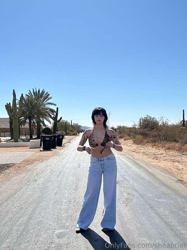 sheabriar image #2