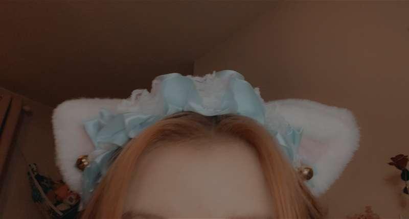 New cat ears !