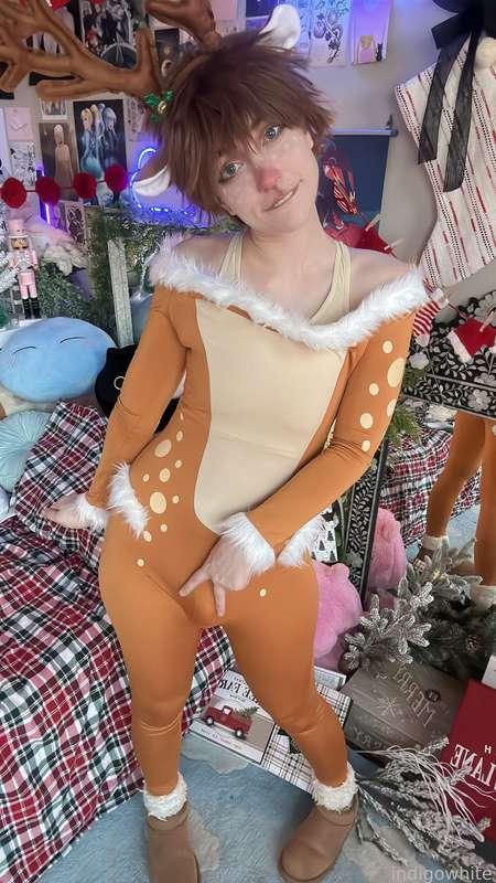 indigowhite image #57