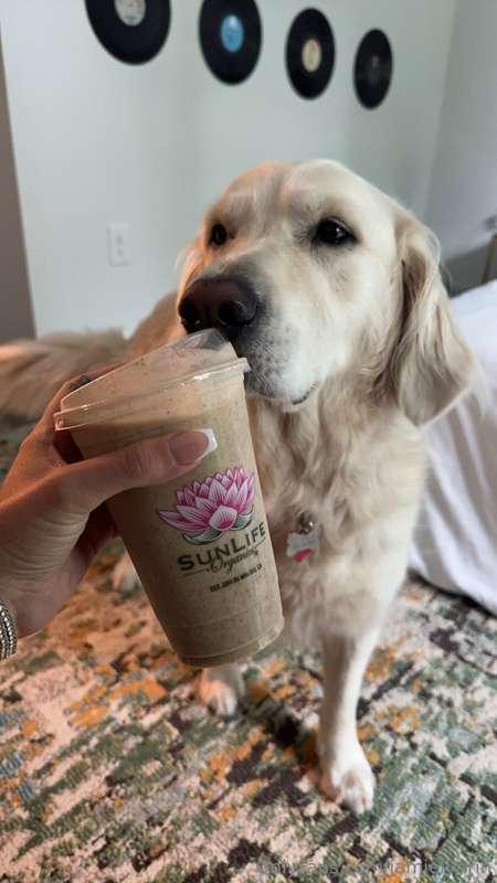 what's your go to coffee order??☕️