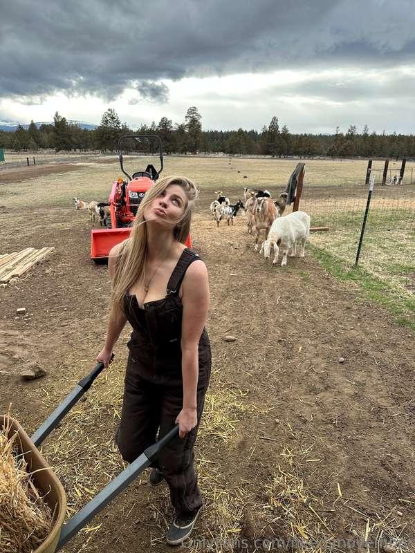 needynovember image #1