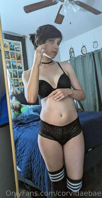 corvidaebae main image