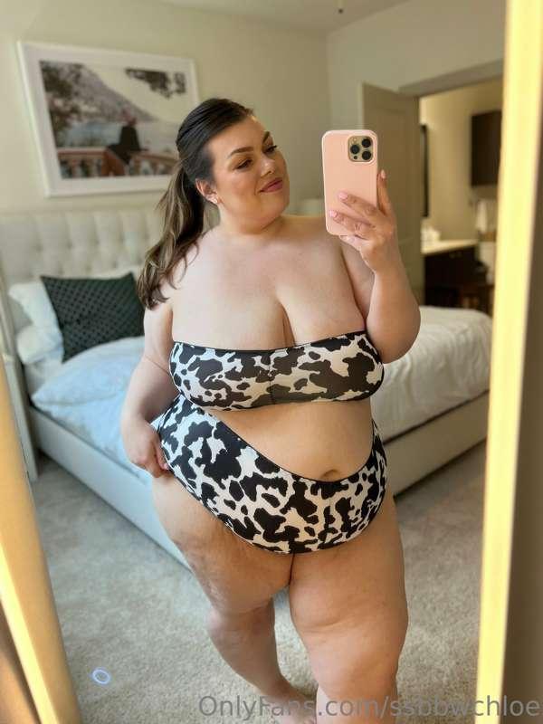 🐄🐄🐄