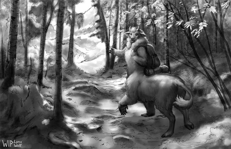 Welcome to the Mountain Path |WIP1|