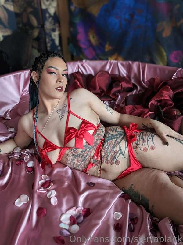 sierrablack image #10