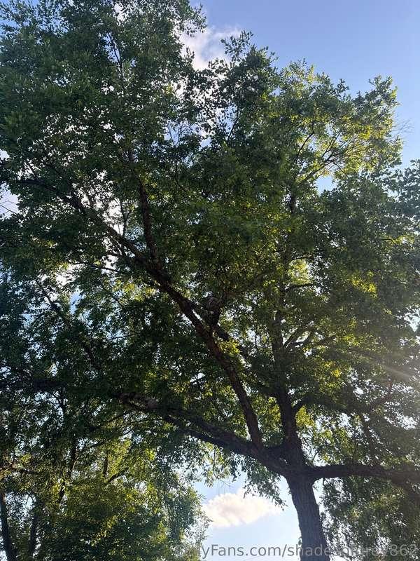 Laying on the ground in the shade, thinking of us together…w..