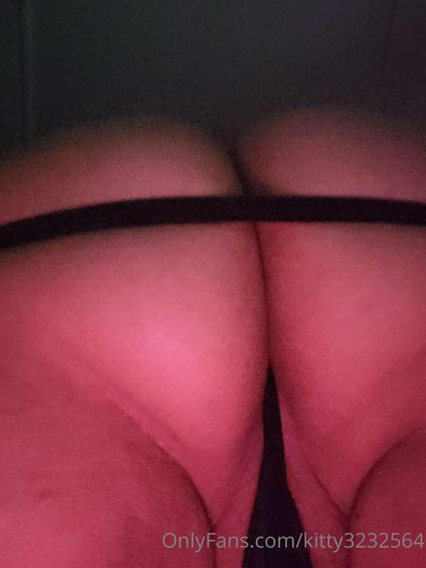 kitty3232564 image #0