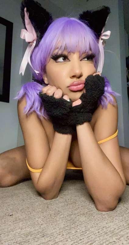 Pussy Pic Pack 🐱😘