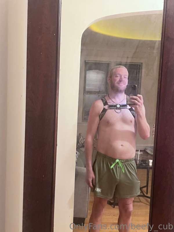 bought a harness this weekend 😈