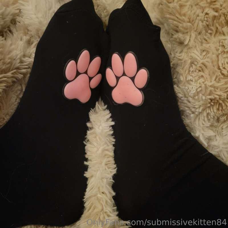 submissivekitten84 image #0