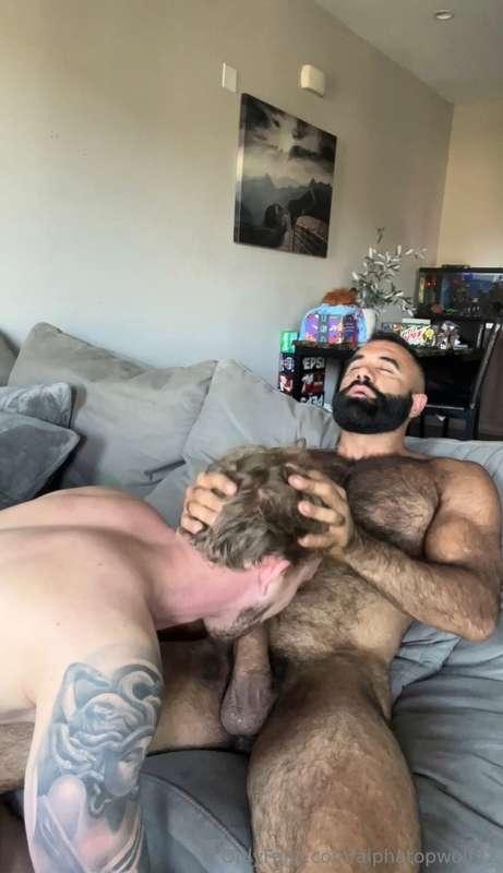 alphatopwolf22 image #2