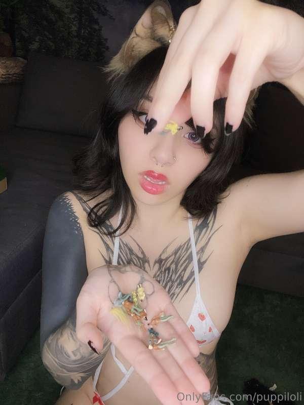 hanimepuppi image #2
