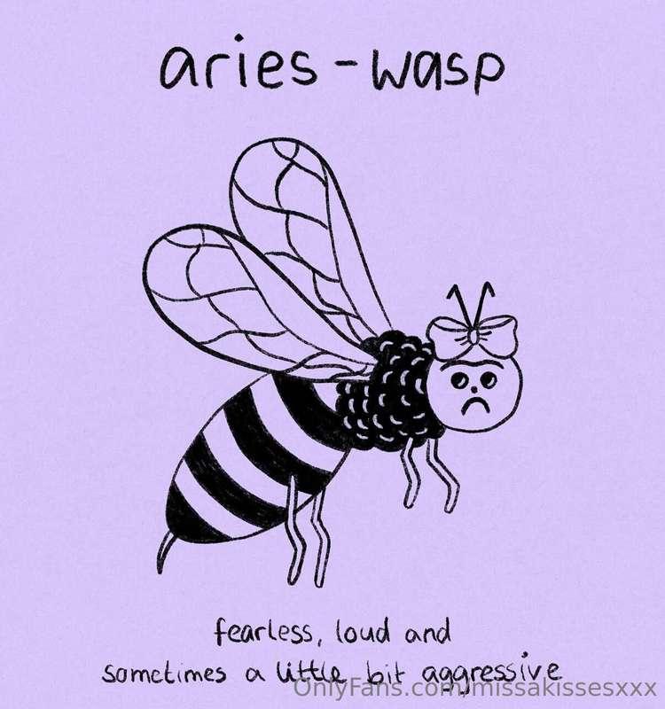 Goodnight from this wasp! 😝😝