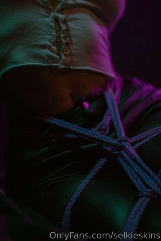 some macroshots of my rope and I <3