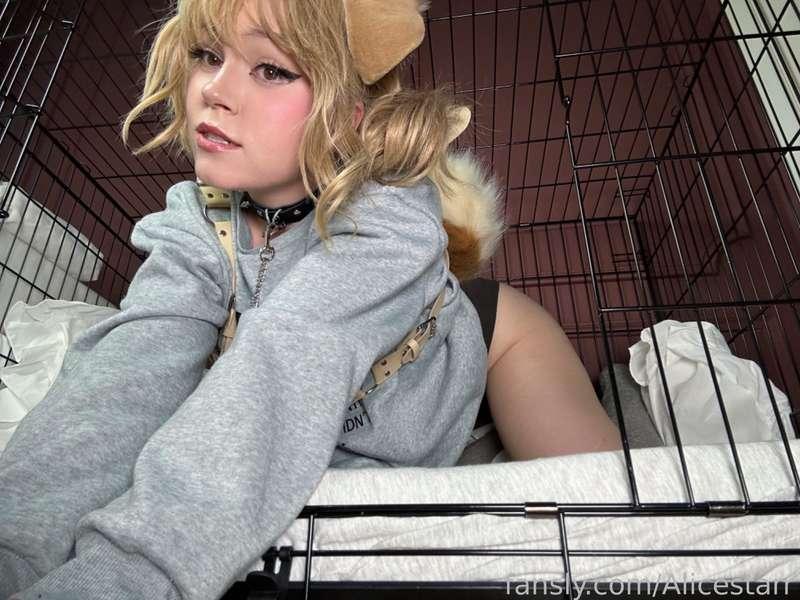alicestarr image #1