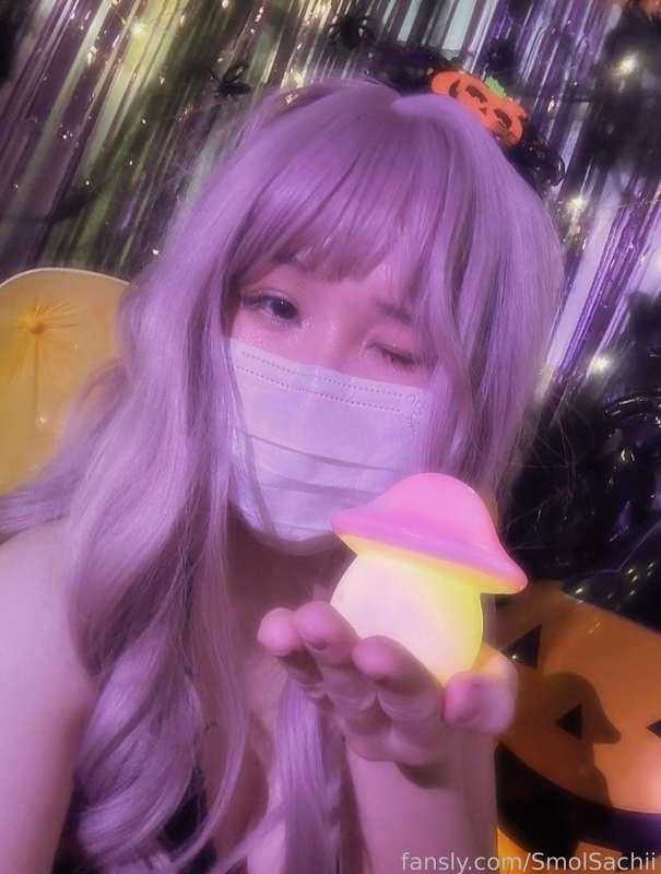 smolsachii image #2