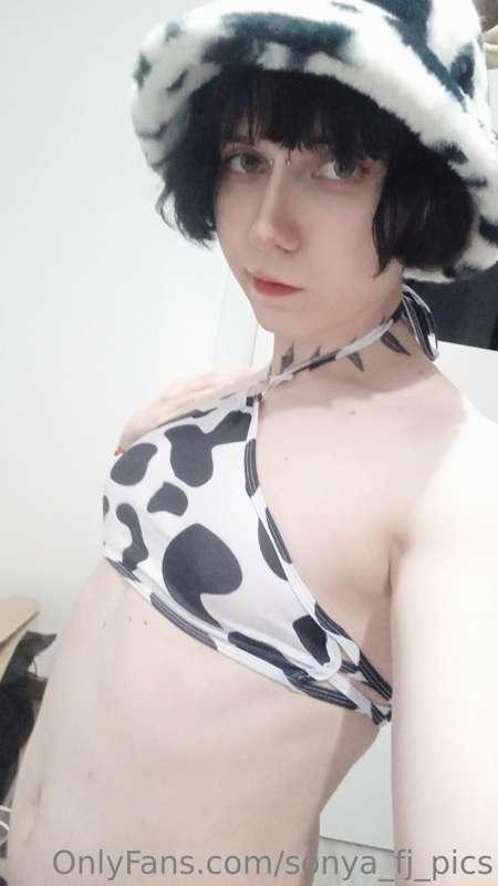 Do I look like a Dalmatian? Or should I undress?