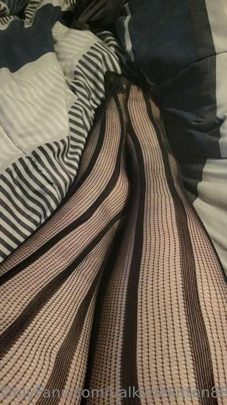valkyriekitten88 image #0
