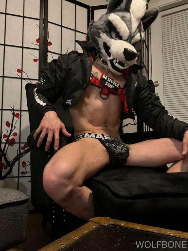 It gets so lonely up in space! Wolf needs to find him a good..