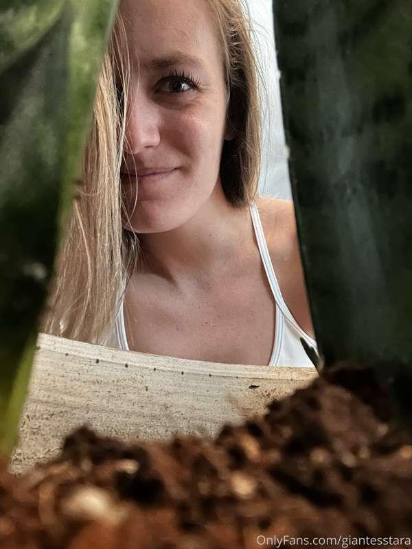 Aww when my tinies hide in my plants! You’re not plant food ..
