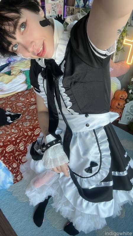 indigowhite image #38