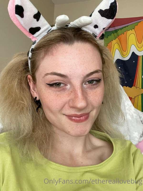 Moo!