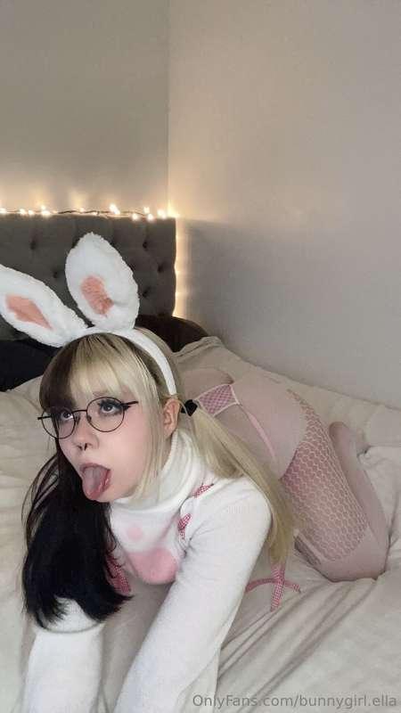 bunnygirl.ella image #1