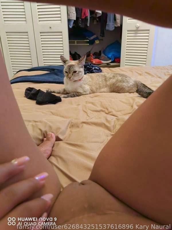 Mi gatito siempre cerca