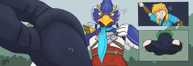 Poll winner - Revali soles