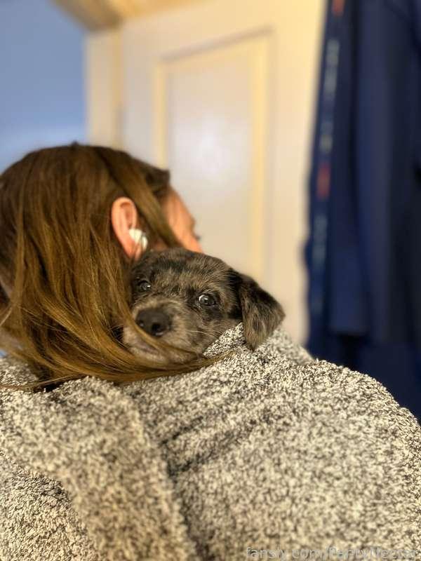 Yall look at my cute puppy!!!