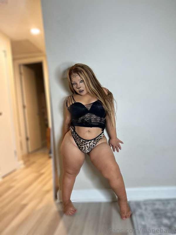 Gata 🐆