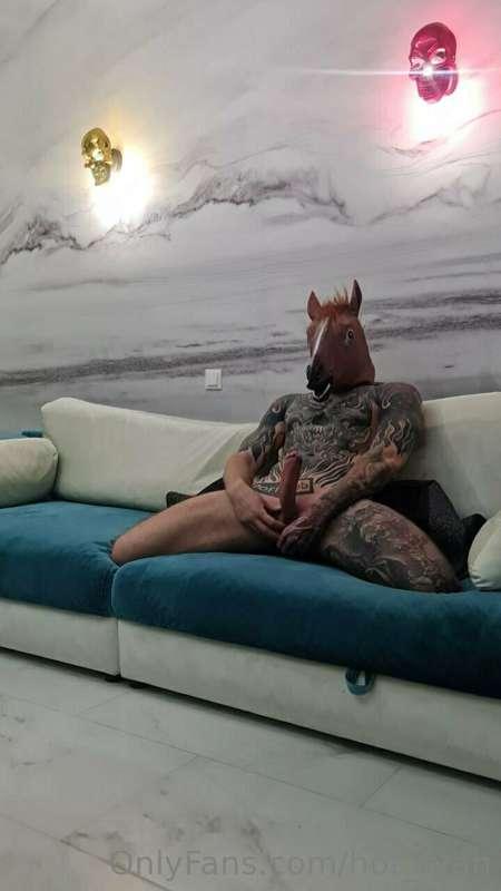 Cowboy, ride this horse 🤠