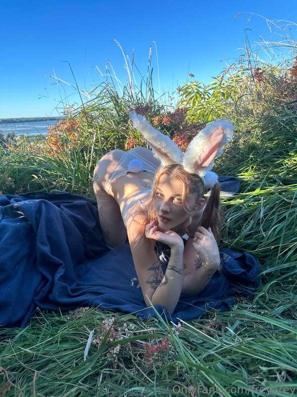 would you let me be your bunny? 🐰